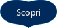 Scopri